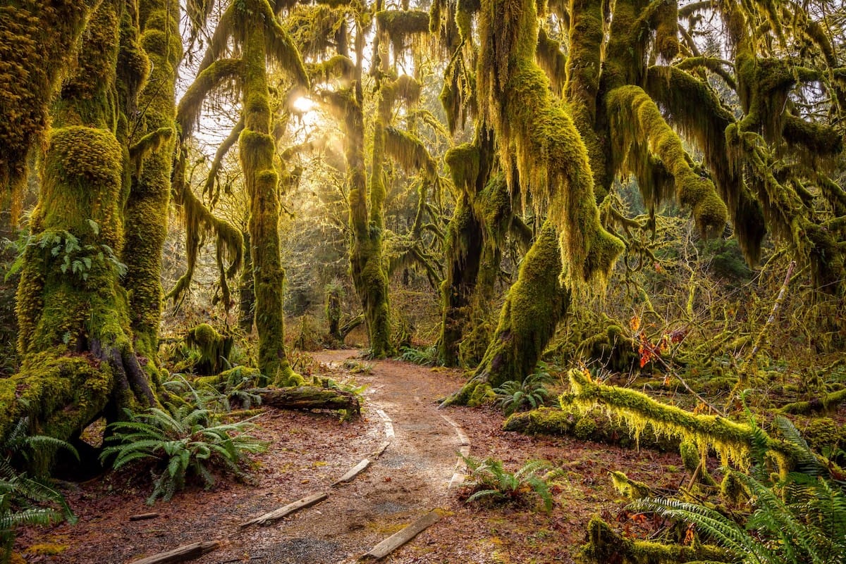 Small Group Getaway To The Olympic Peninsula