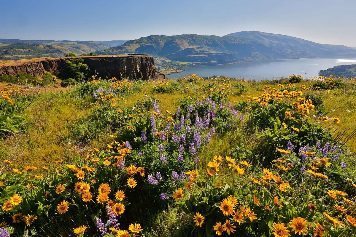 Columbia River Gorge, Wine, Easy Hiking and Relaxation