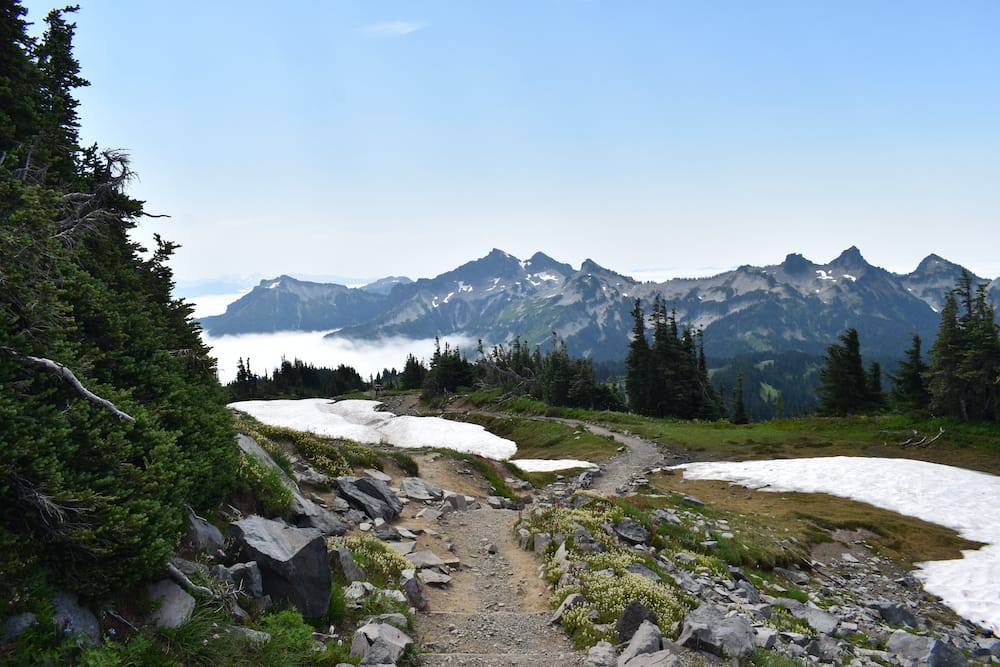Day Hike in Rainier - Skyline Trail Loop