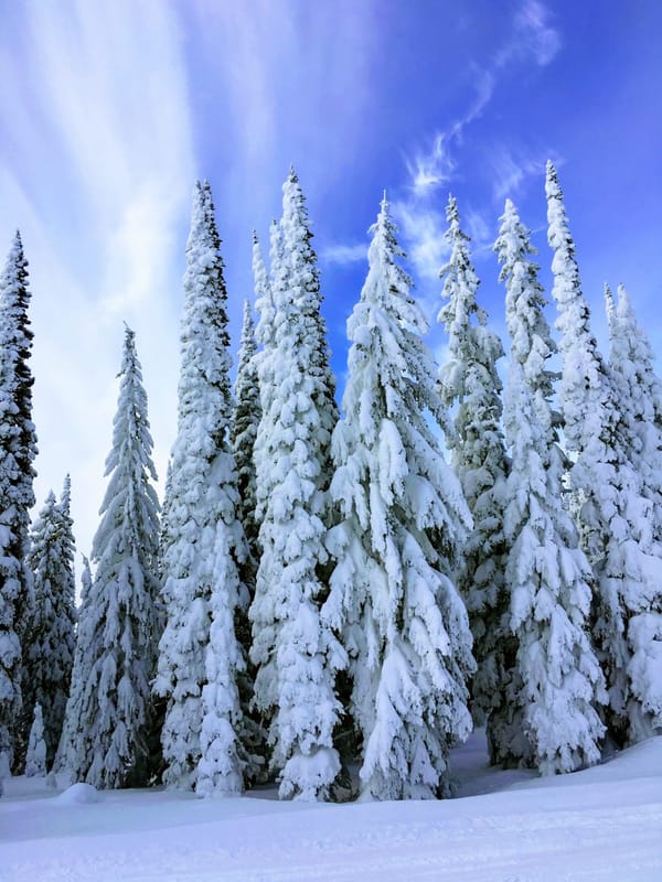 Family Winter Adventure, Whitefish Montana