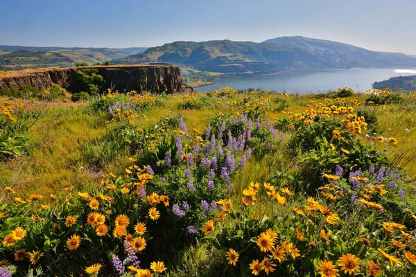 Columbia River Gorge, Wine, Easy Hiking and Relaxation